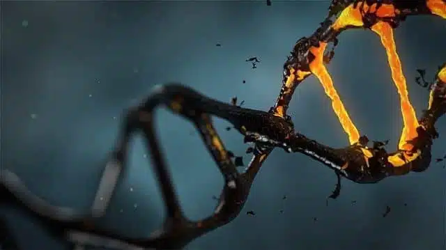 أشهر خرافات الجينات والصفات الوراثية