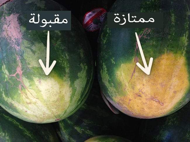 كيف تختار البطيخ حلو الطعم في الصيف؟