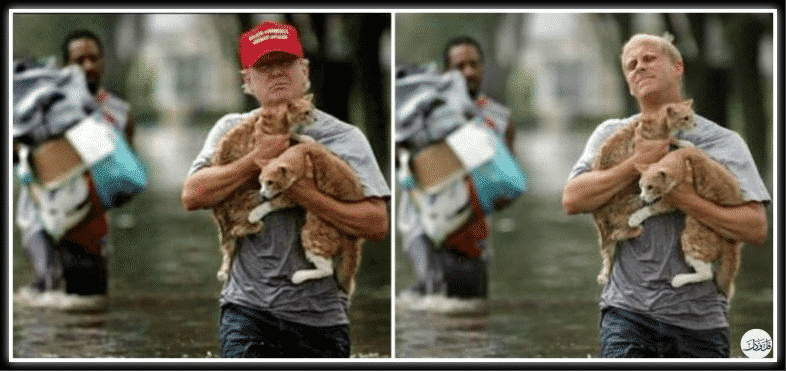 الحقيقة وراء "ترامب منقذ القطط الصغيرة"