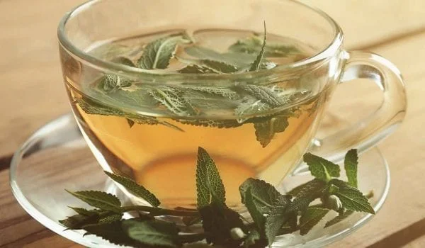في يومه العالمي.. 7 أنواع من الشاي وفوائدها المذهلة