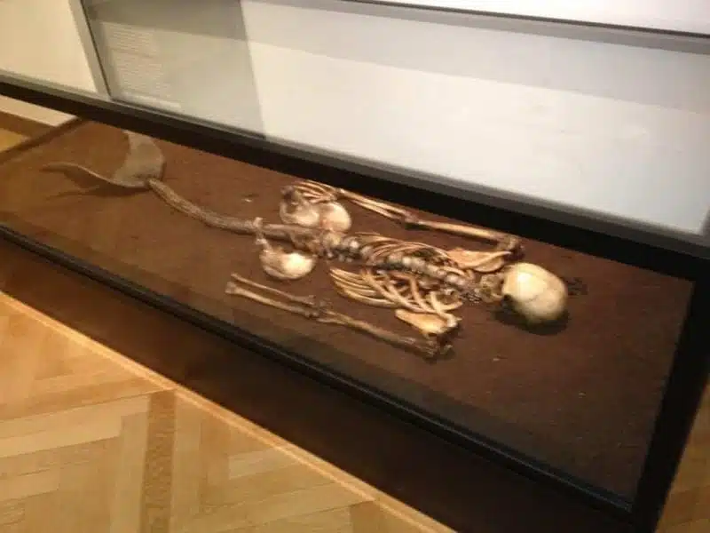 الحقيقة وراء هيكل حورية البحر في متحف الدنمارك الوطني