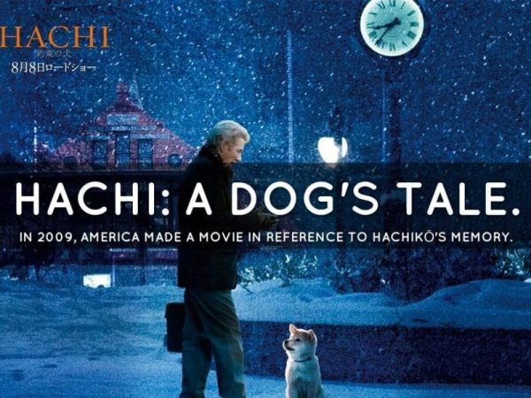 "هاتشيكو".. الكلب الذي انتظر صاحبه 10 سنوات