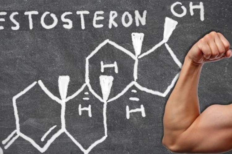 "التستوستيرون".. طرق طبيعية لتحسين إفراز هرمون الذكورة