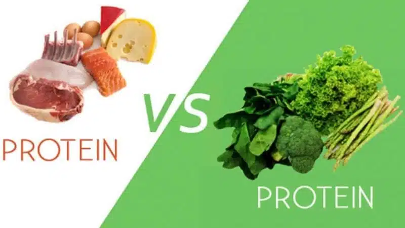 البروتين الحيواني ضد النباتي.. من يفوز؟