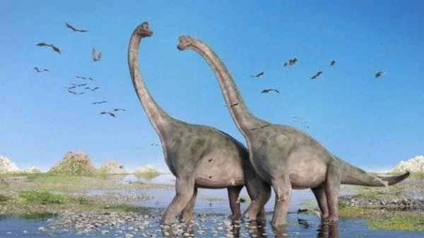 آثار جديدة تكشف وجود الديناصورات في اسكتلندا قبل 170 مليون سنة