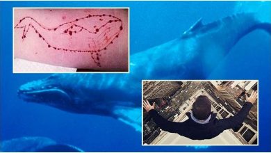 أبرز ضحايا الحوت الأزرق من حول العالم