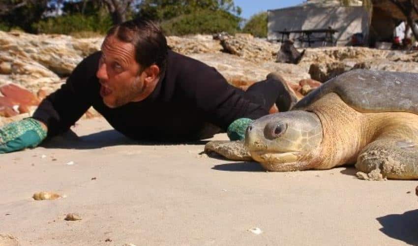 دكتور سلحفاة.. الخبير الذي ينقذ السلاحف المائية من الانقراض عبر صيدها!