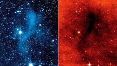 كيف سهلت الأشعة تحت الحمراء اكتشاف الفضاء؟