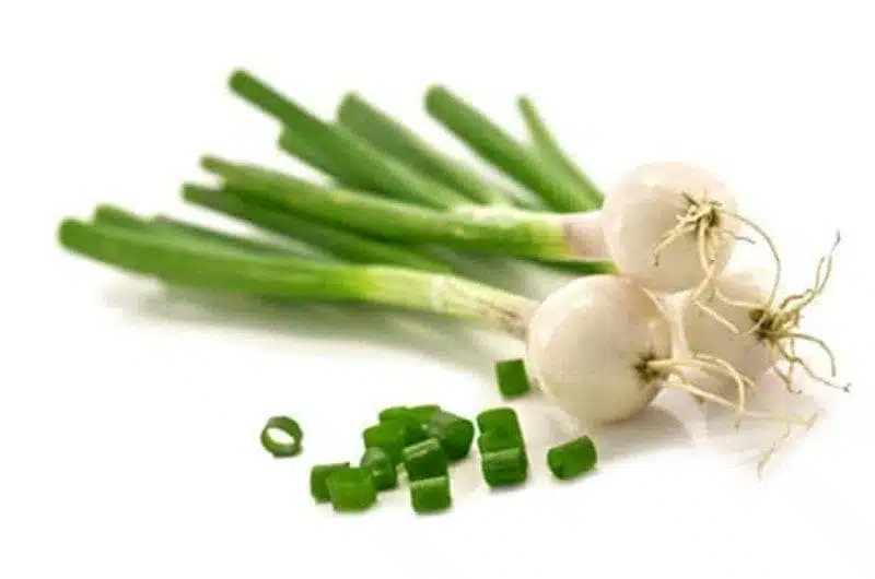 البصل الأخضر.. فوائد مذهلة لأقدم الخضروات