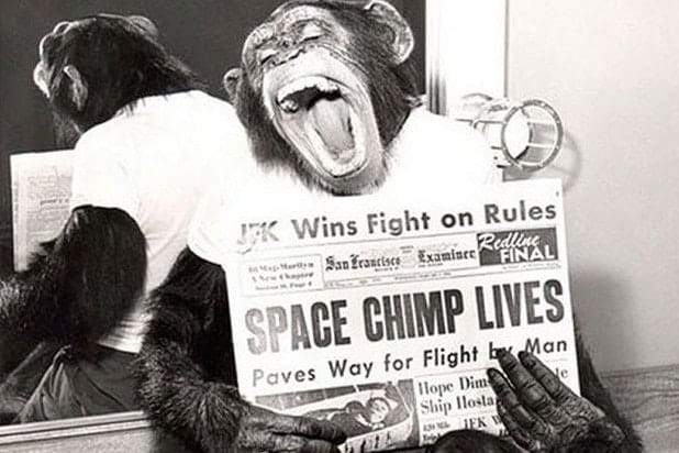 القرد "هام".. وحكاية الحيوان الأشهر الذي نجح في غزو الفضاء وحده!