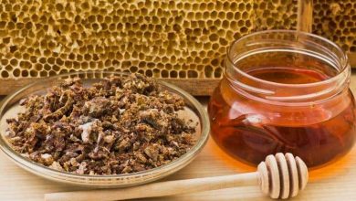 هل سمعت عن صمغ النحل؟ تلك هي بعض فوائده السحرية