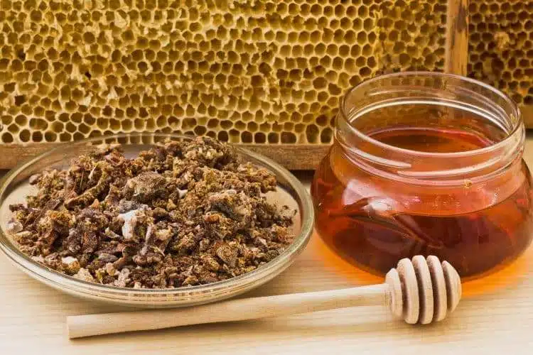 هل سمعت عن صمغ النحل؟ تلك هي بعض فوائده السحرية