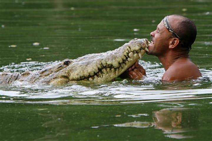 قصة لا تصدق.. عندما تعقد الصداقة بين إنسان وتمساح