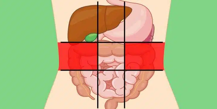 كيف تحدد بنفسك الجزء المصاب من جهازك الهضمي من خلال ألم البطن