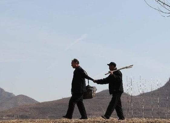 صديقان للبيئة.. كفيف ومبتور الذراعين ينجحا في زراعة آلاف الأشجار في الصين