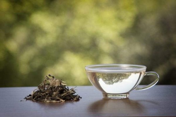 الاستمتاع بشرب الشاي مع 5 أنواع مختلفة