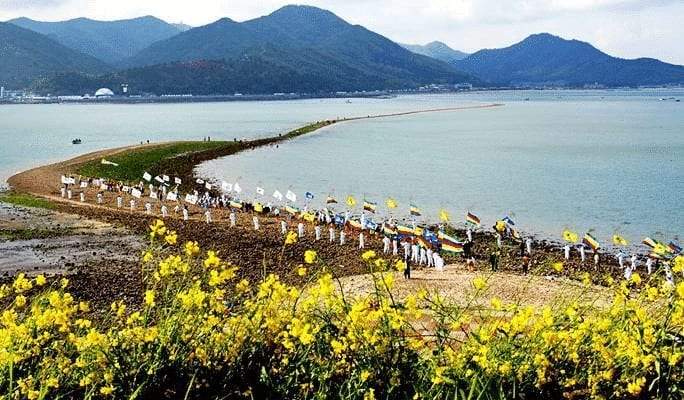 سنويا بكوريا الجنوبية.. انشقاق البحر في جزيرة جيندو
