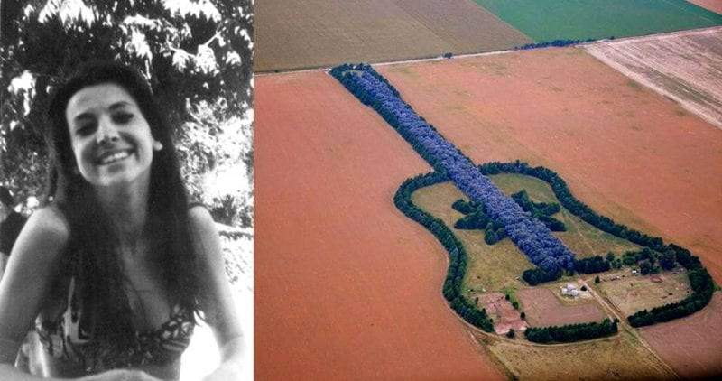 الإبداع عبر 7000 شجرة.. رجل ينسق مزرعة على شكل جيتار وفاء لزوجته