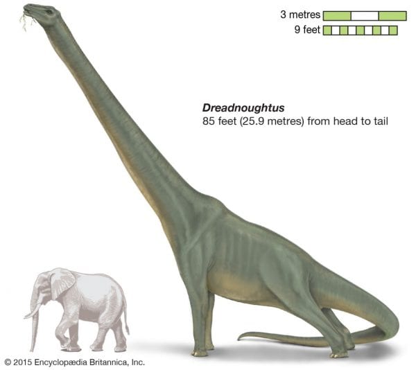 أكبر 5 ديناصورات عرفها العالم قبل الانقراض