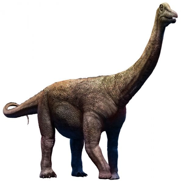 أكبر 5 ديناصورات عرفها العالم قبل الانقراض
