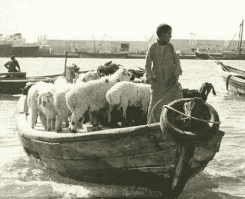 إمارة الأثرياء.. 9 صور قديمة تكشف تاريخ دبي العتيق