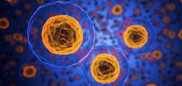 كيف فسر العلم نظرية الخلية؟