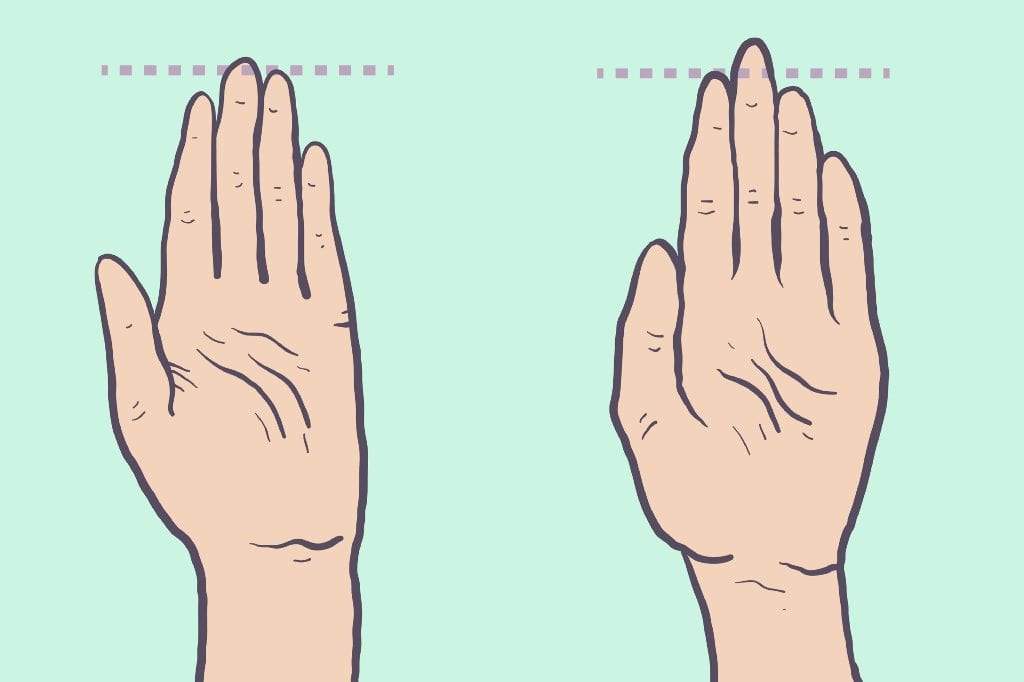 كيف تحدد صفاتك الشخصية من طول أصابع اليد اليسرى؟