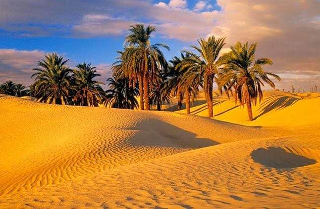 الصحراء الغربية.. جنة الله على الأراضي المصرية