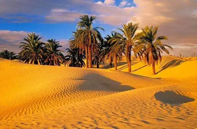 الصحراء الغربية.. جنة الله على الأراضي المصرية