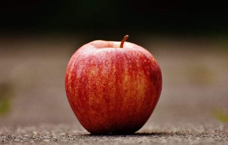 كيف يحتوي التفاح على الملايين من بكتيريا الأمعاء المفيدة للصحة؟