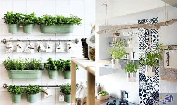 افكار ديكور جديدة للمنزل: النباتات