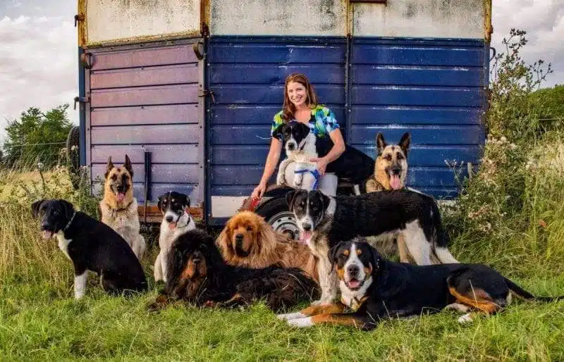 كيف يبدو السفر حول العالم رفقة فتاة و 9 كلاب و 5 قطط؟!