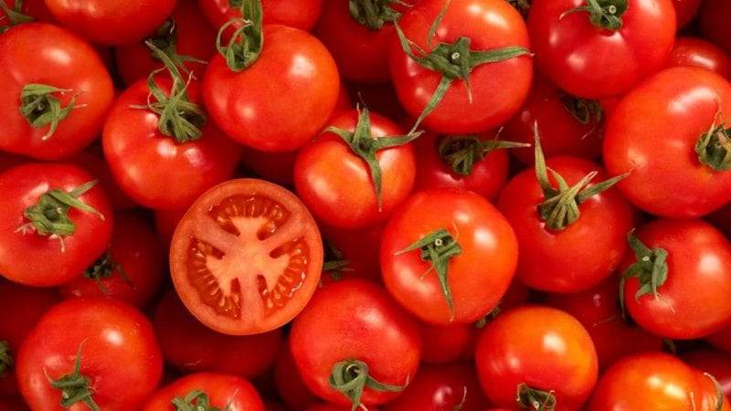 فوائد الطماطم الصحية والحقائق الغذائية