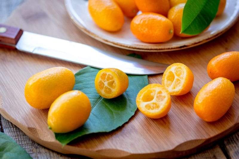 فاكهة الكمكوات.. وفوائد صحية للبرتقال الياباني المذهل