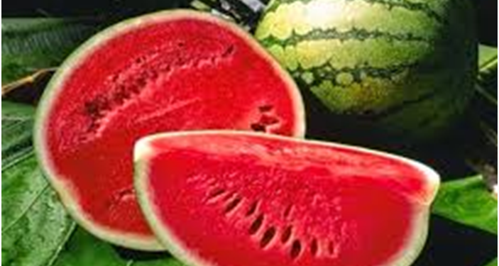 تقوية المناعة.. وأبرز فوائد قشر البطيخ