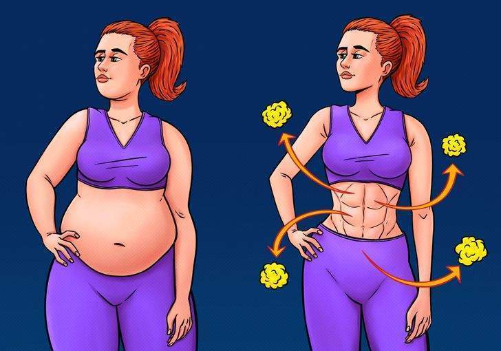 ما الذي يحدث لدهون الجسم بعد فقدان الوزن؟