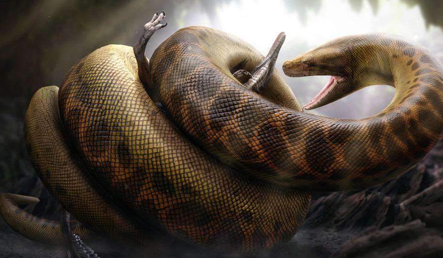 تيتانوبوا.. ثعبان بحجم ديناصور وافتراس بقوة 1000 عضة سامة