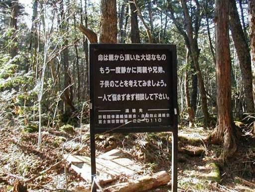 غابة أوكيغاهارا في اليابان.. المكان الأمثل للموت في "مارس"!
