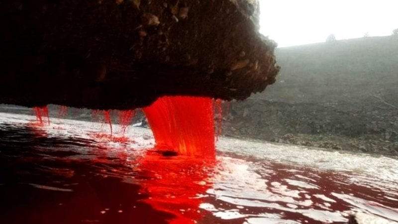 شلالات الدم.. نزيف لا ينقطع في القارة القطبية