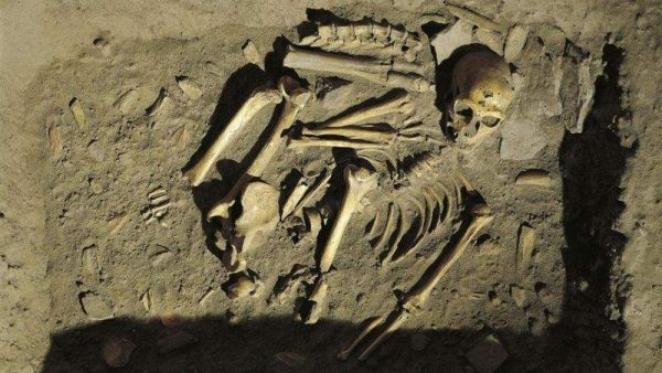 عظام إنسان النياندرتال