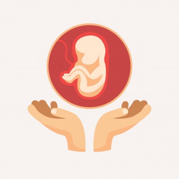 الإجهاض في الشهر الثالث