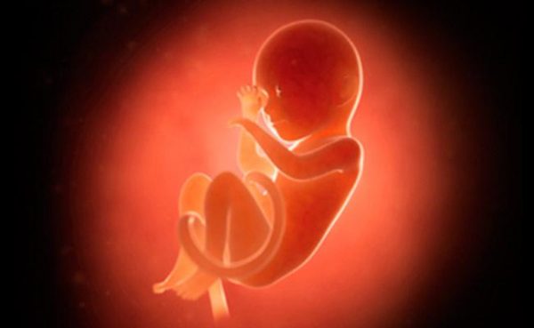 أبرز تطورات الجنين في الشهر السابع من الحمل