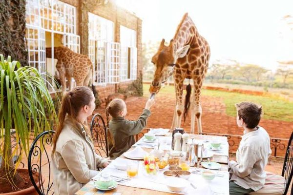 فندق الزرافة مانور (Giraffe Manor) في كينيا