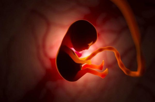 كيف يكون شكل الجنين في الشهر الثالث من الحمل