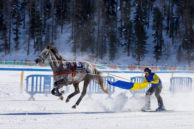 تزلج الخيول.. وأغرب الرياضات في تاريخ الألعاب الأولمبية الشتوية
