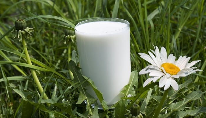 كيف استفيد من الحليب المنتهي الصلاحية