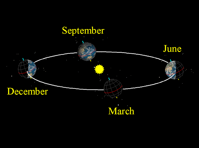 من اسباب حدوث الفصول الأربعة دوران الأرض حول الشمس