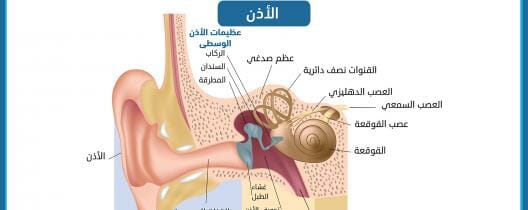 كيف تعالج التهاب الأذن في البيت؟