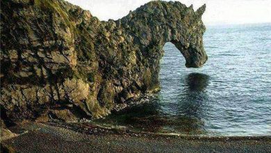 انشرها ولك الأجر .. النصب باسم فيس بوك