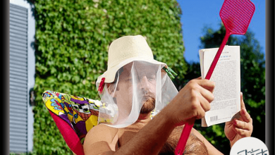 كيف نتخلص من حشرات الصيف في 6 خطوات بسيطة